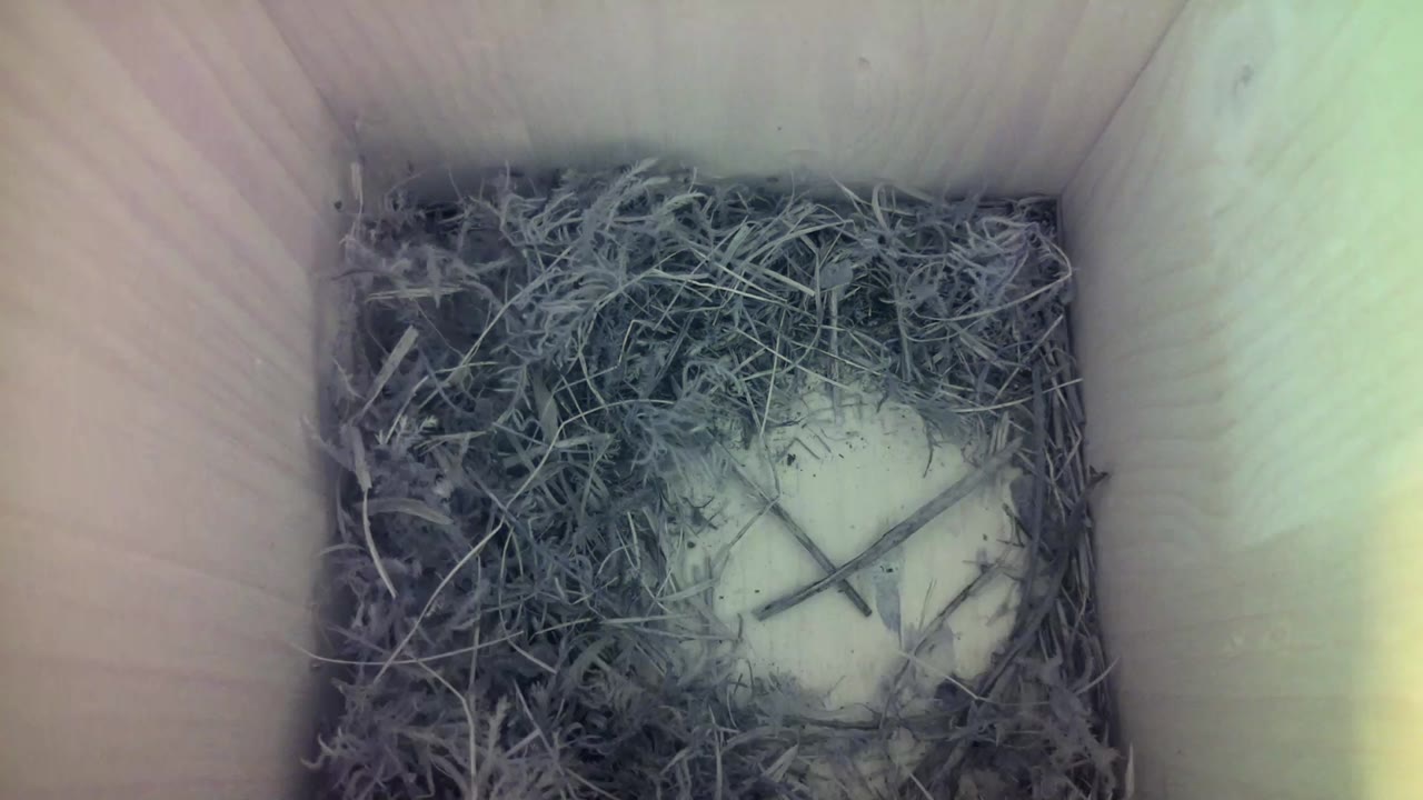 Aufnahme aus dem Vogelhaus