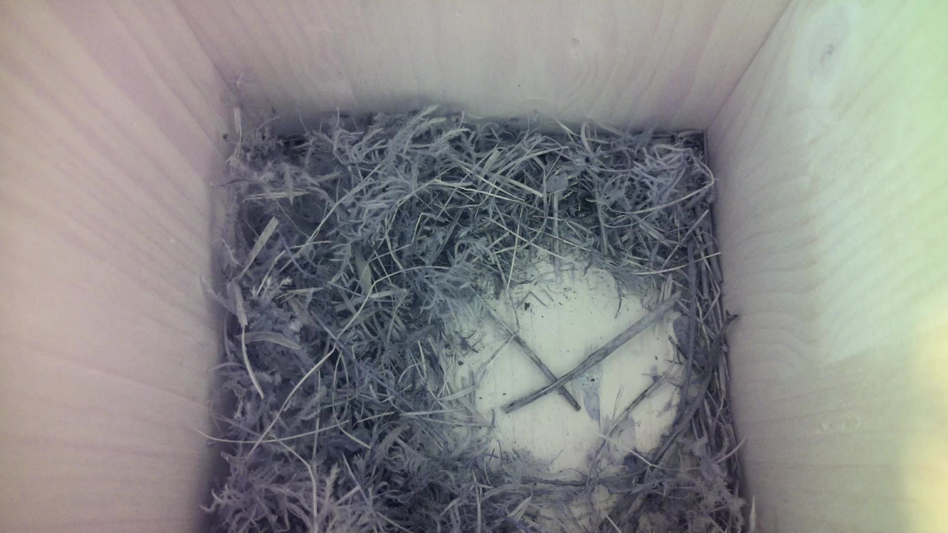 Aufnahme aus dem Vogelhaus