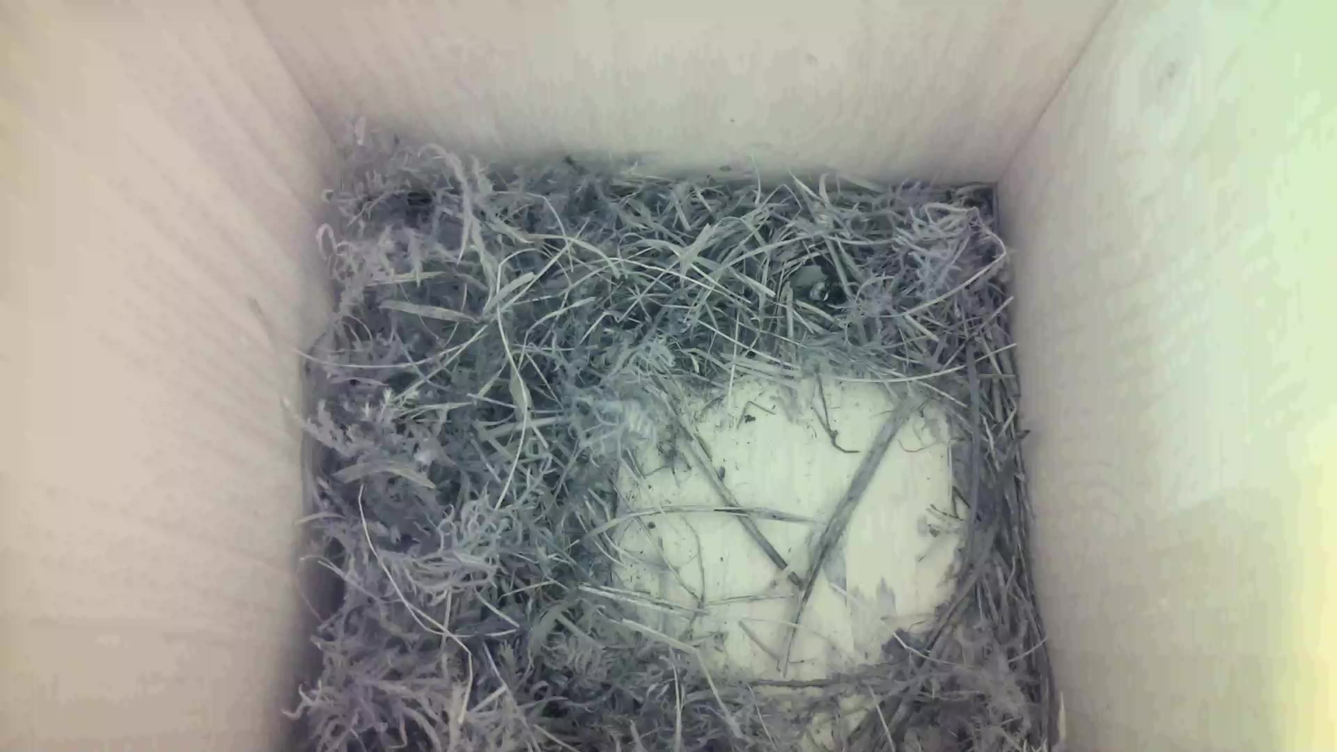 Aufnahme aus dem Vogelhaus