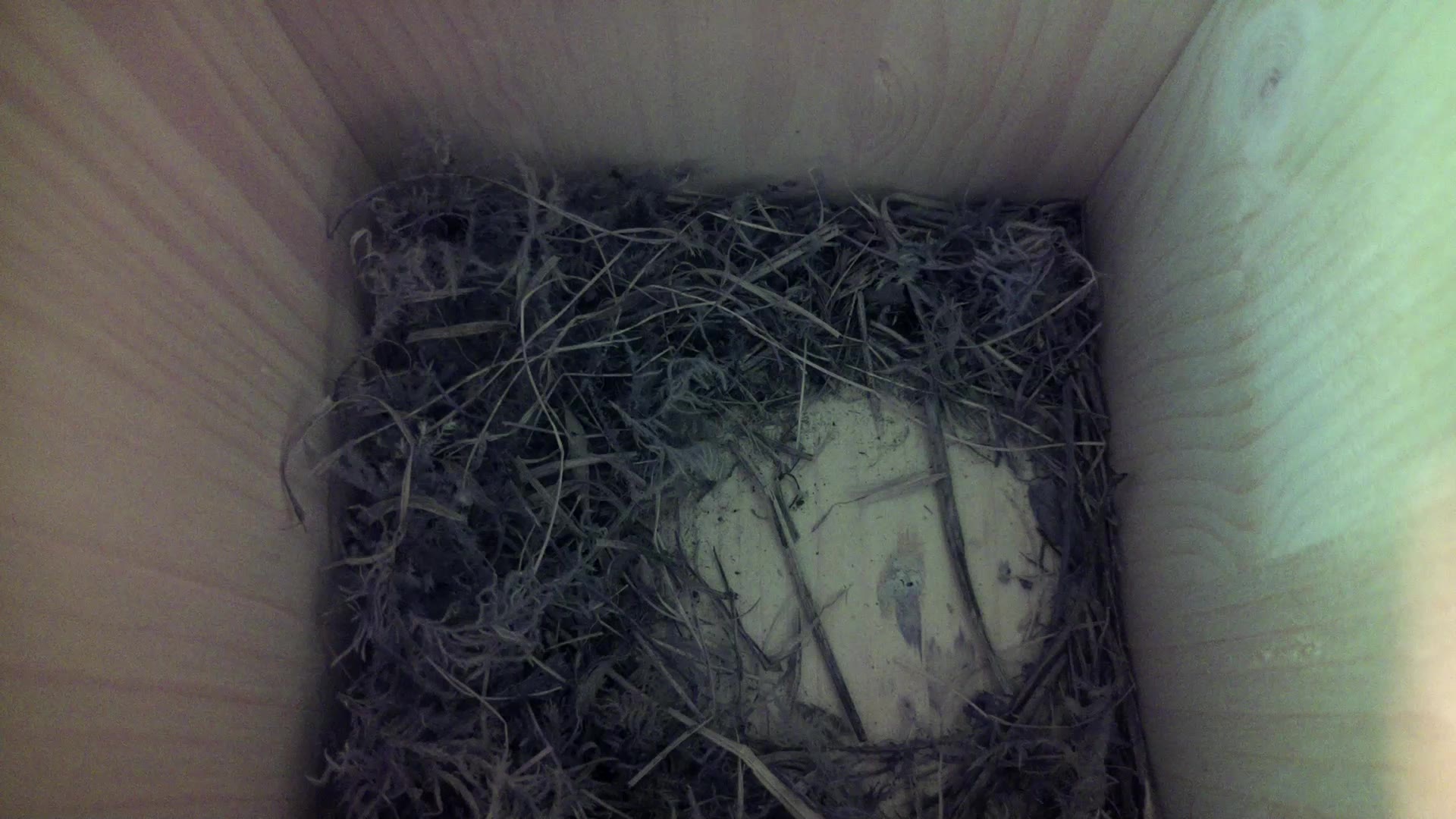 Aufnahme aus dem Vogelhaus