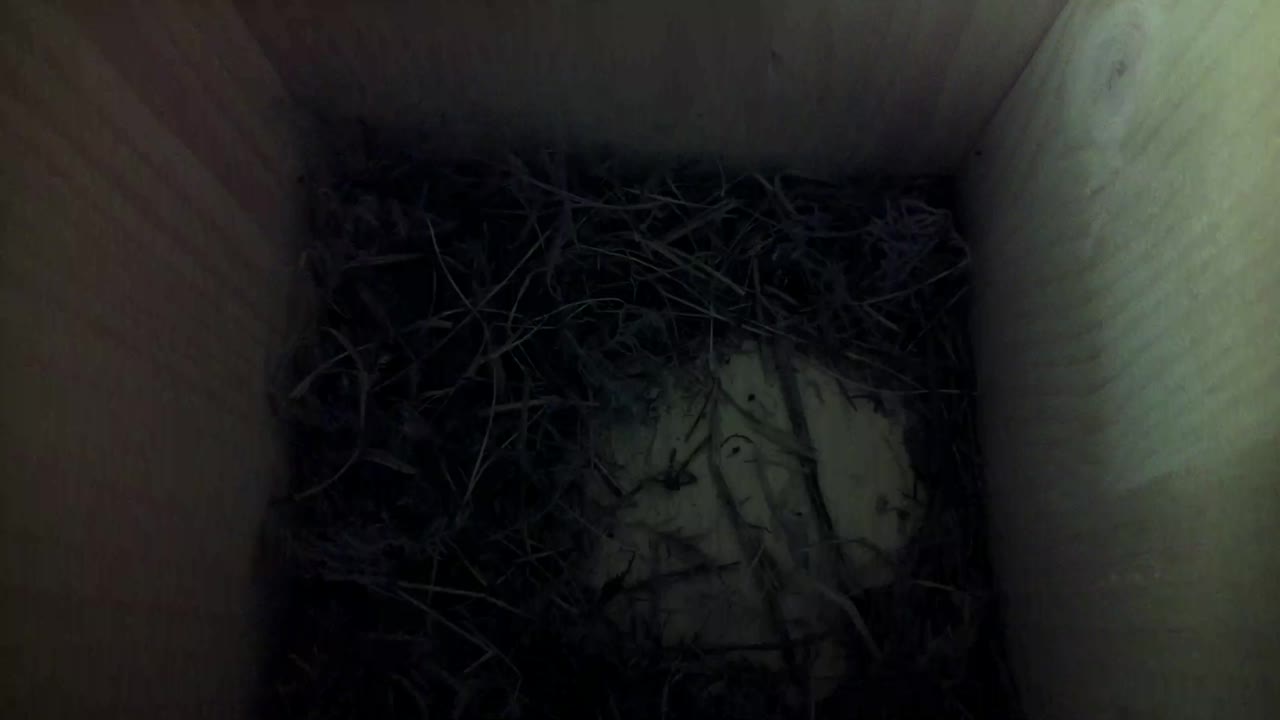 Aufnahme aus dem Vogelhaus