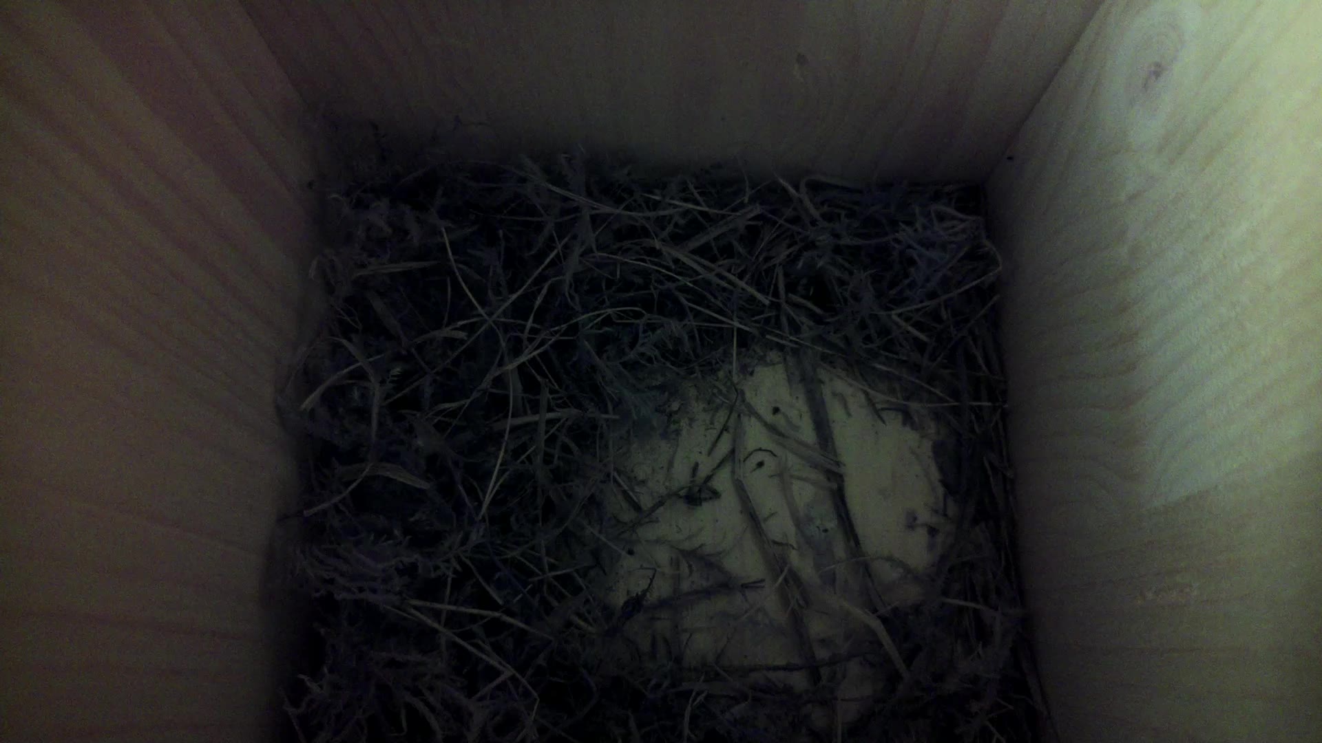 Aufnahme aus dem Vogelhaus