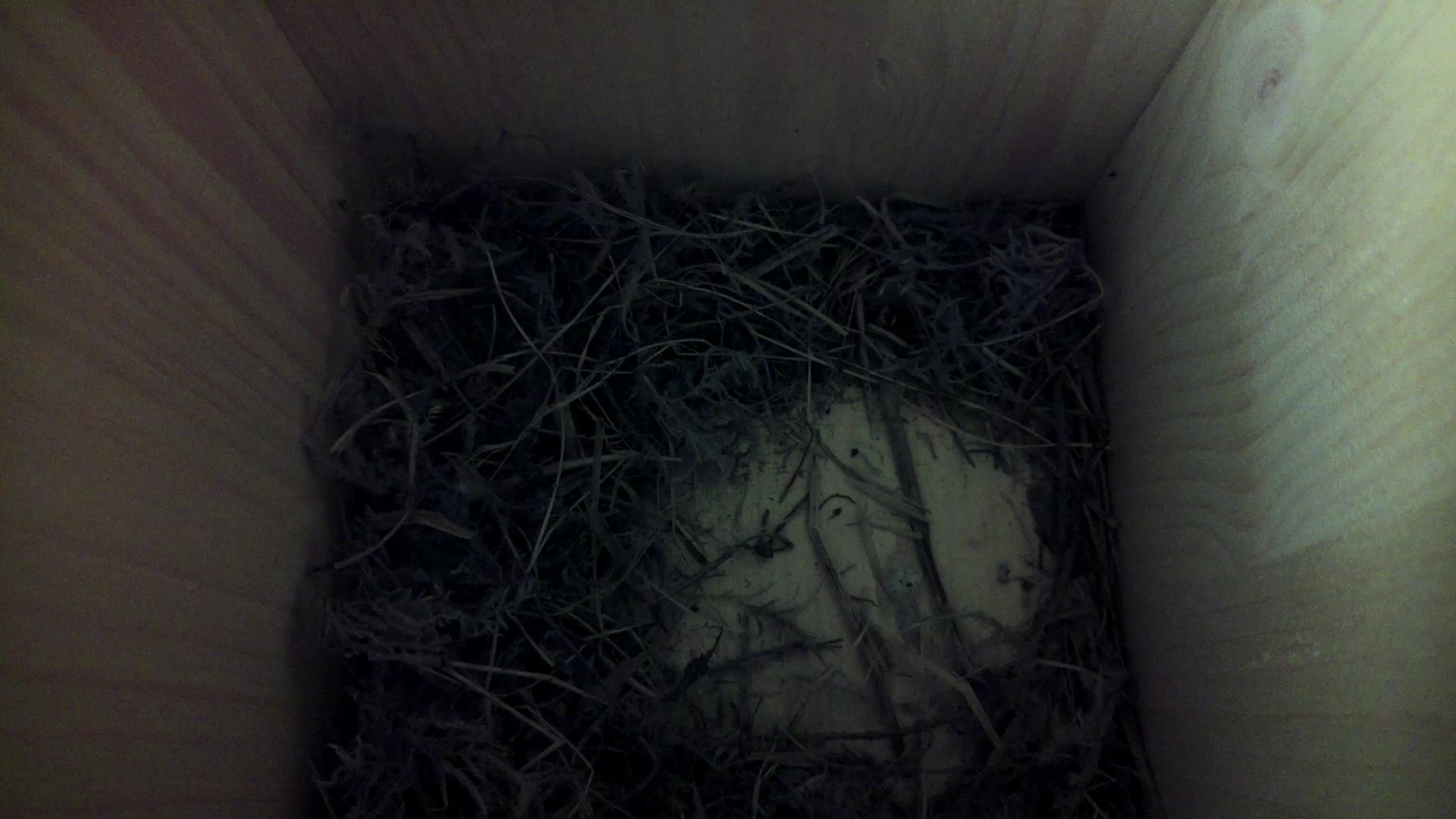 Aufnahme aus dem Vogelhaus