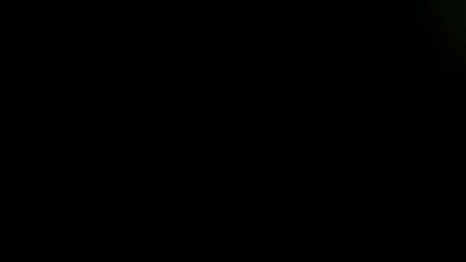 Aufnahme aus dem Vogelhaus