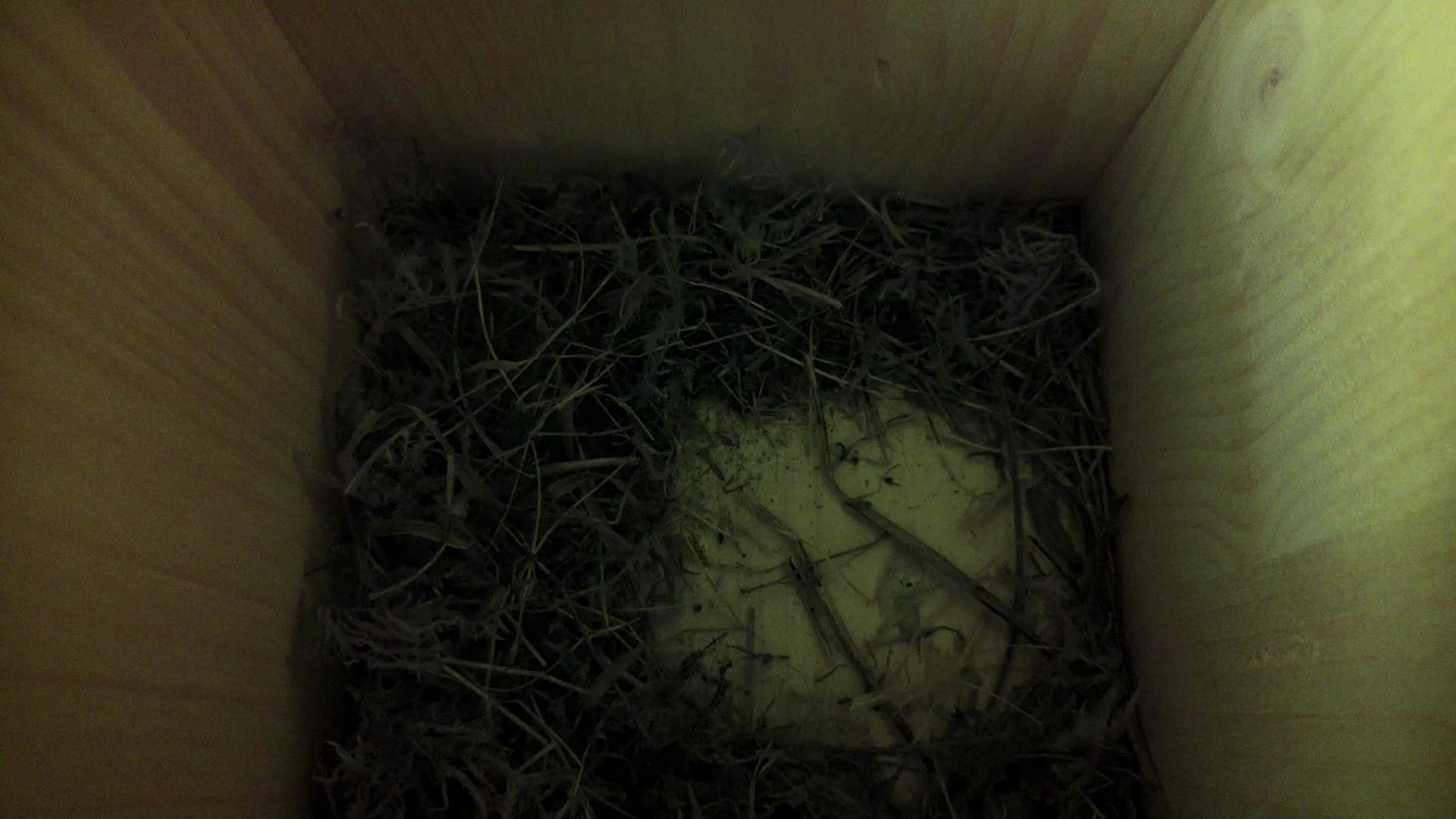 Aufnahme aus dem Vogelhaus