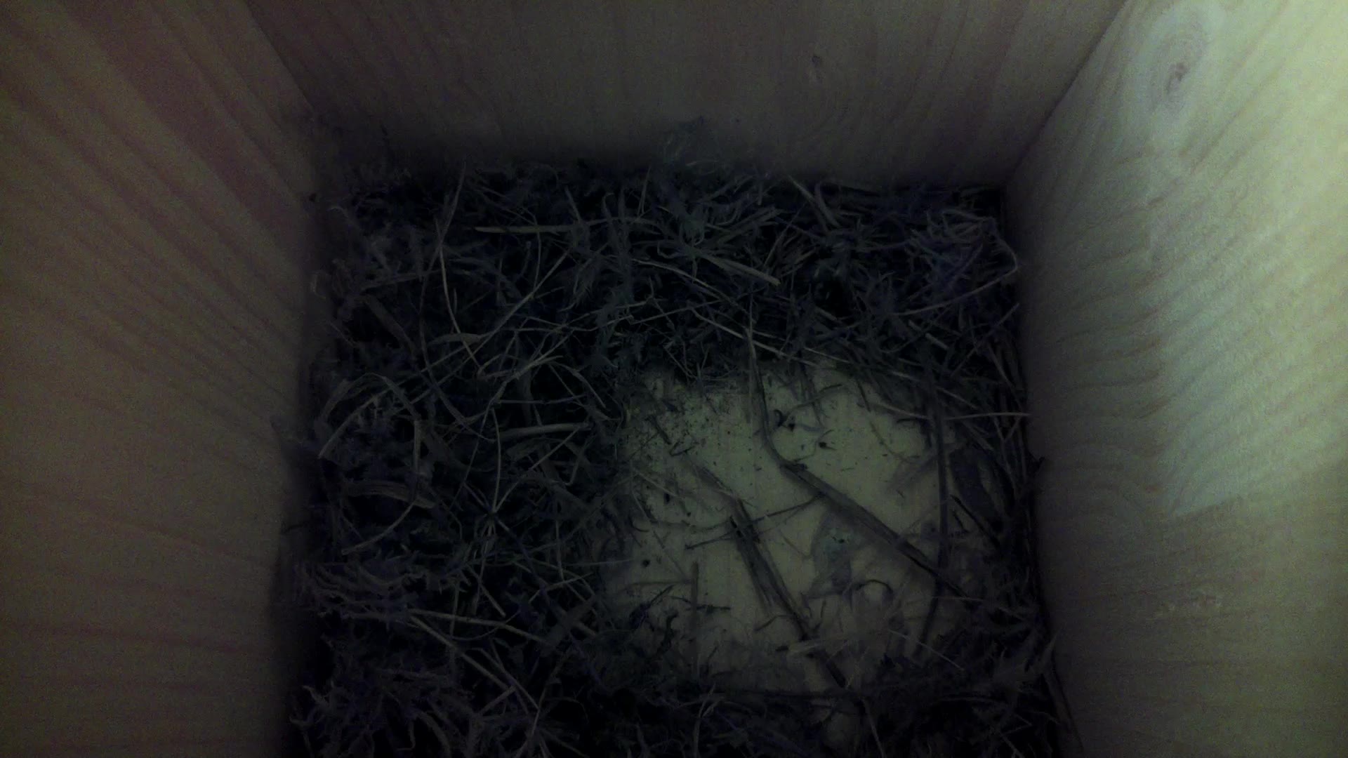 Aufnahme aus dem Vogelhaus