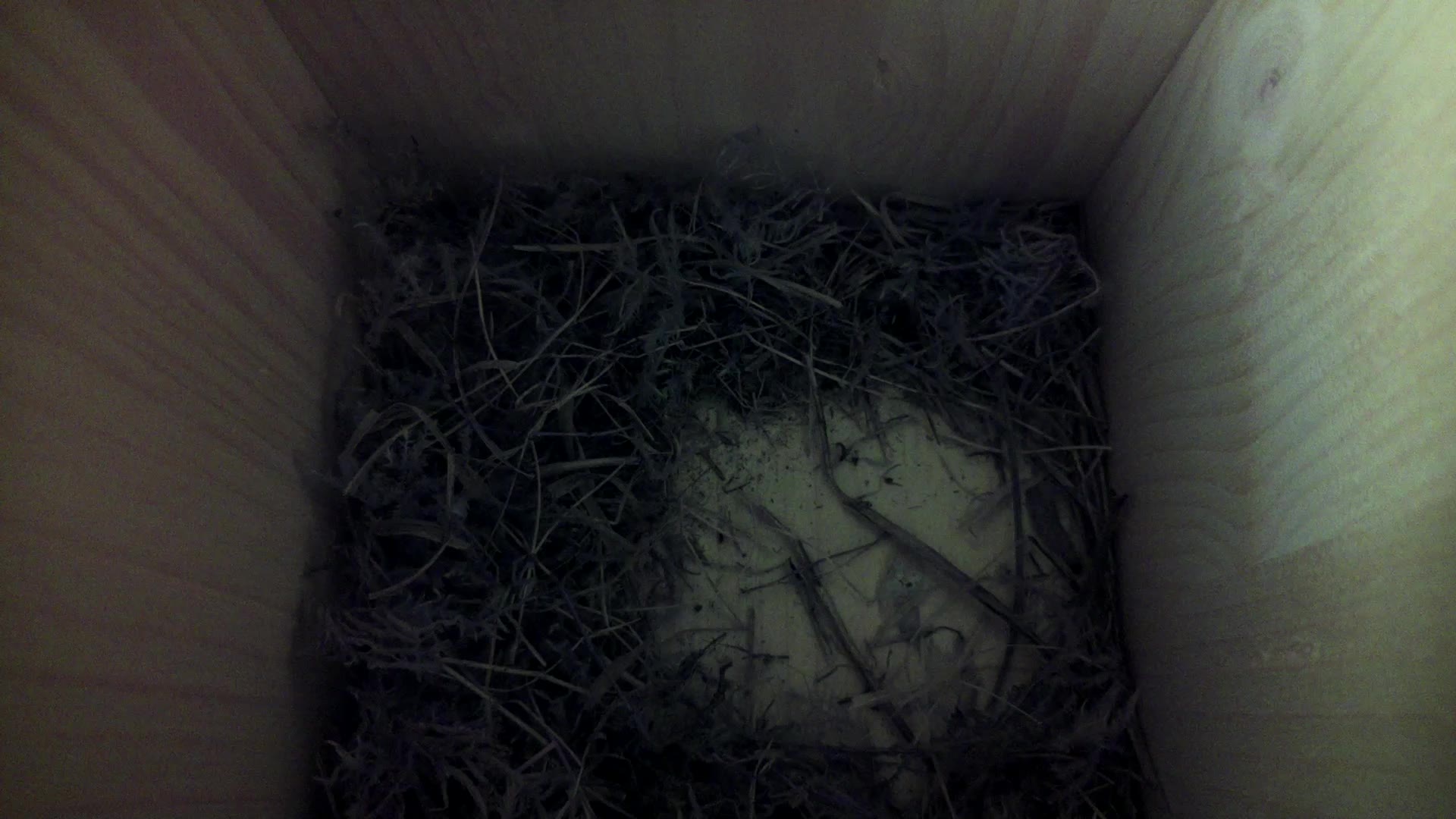 Aufnahme aus dem Vogelhaus
