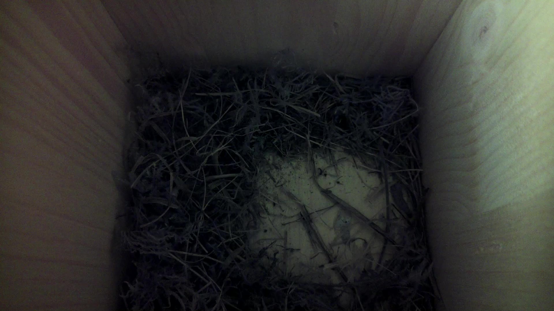 Aufnahme aus dem Vogelhaus