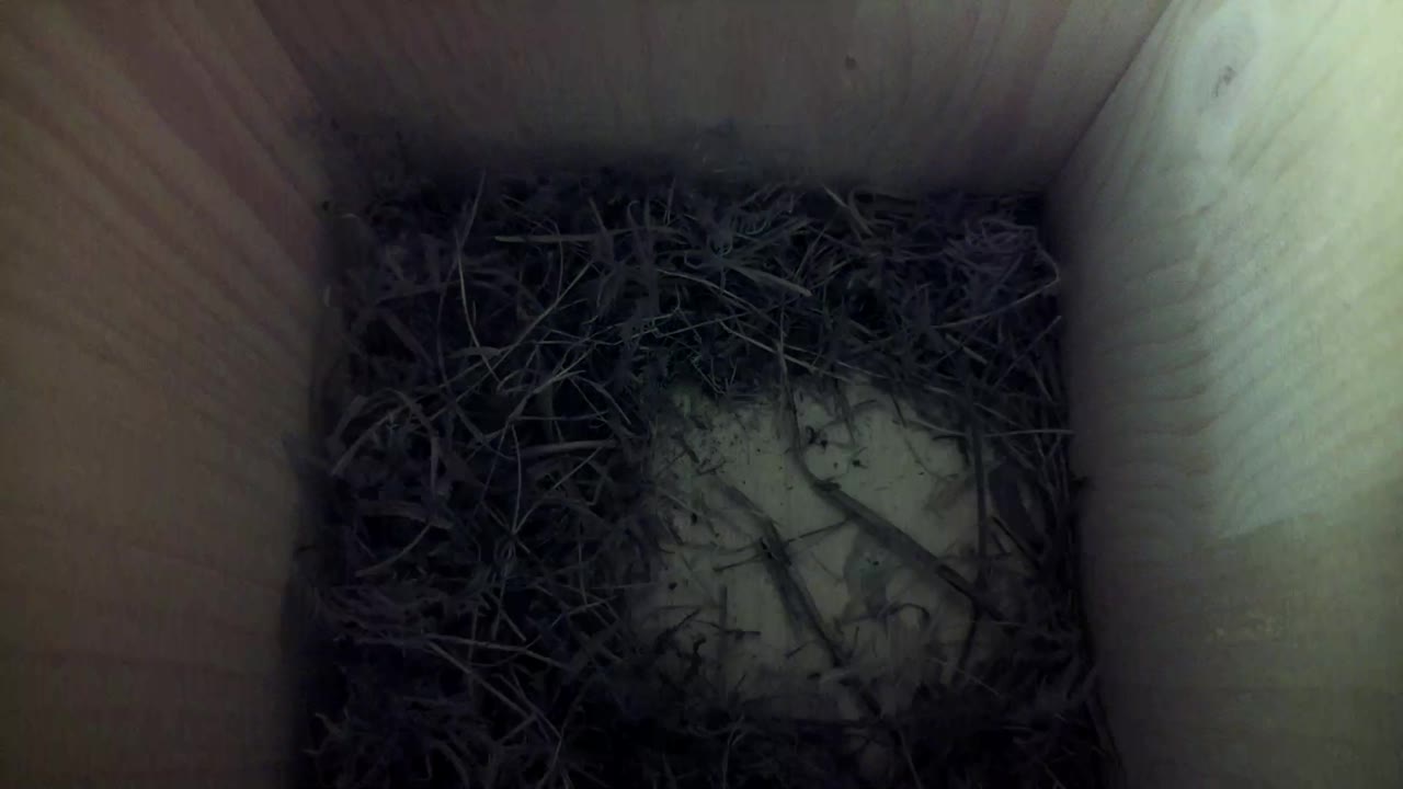 Aufnahme aus dem Vogelhaus