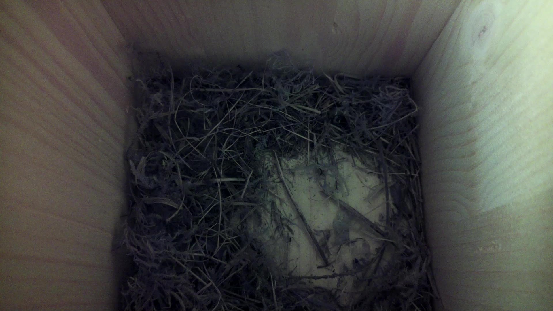 Aufnahme aus dem Vogelhaus