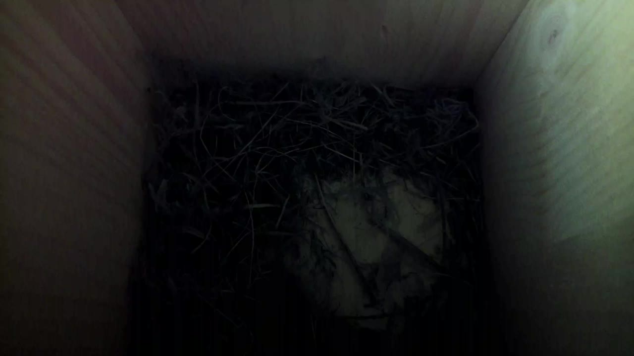 Aufnahme aus dem Vogelhaus