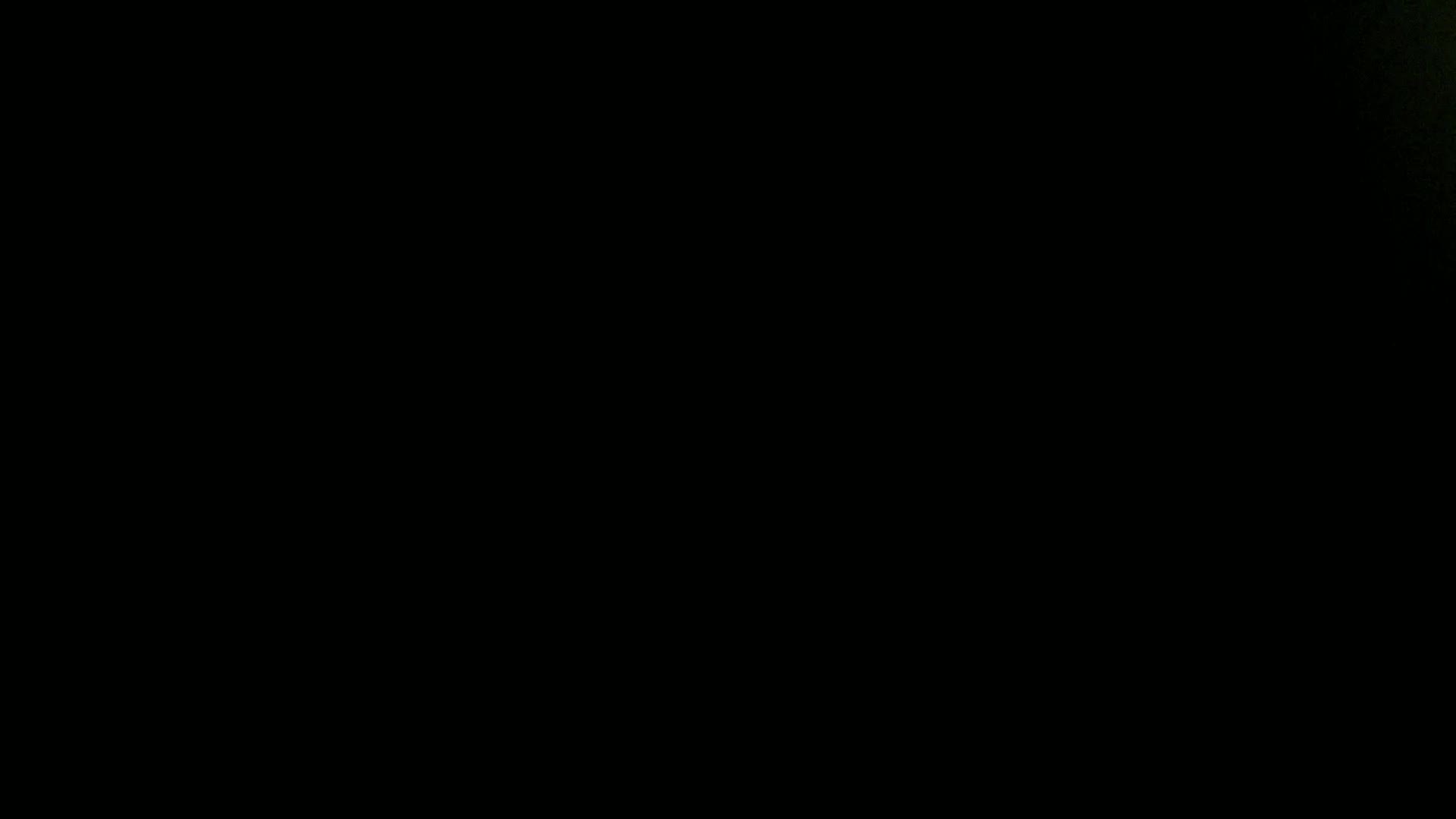 Aufnahme aus dem Vogelhaus