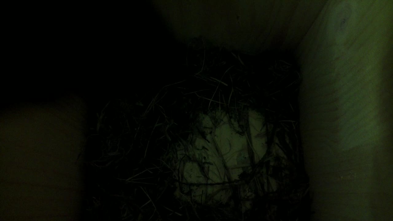 Aufnahme aus dem Vogelhaus