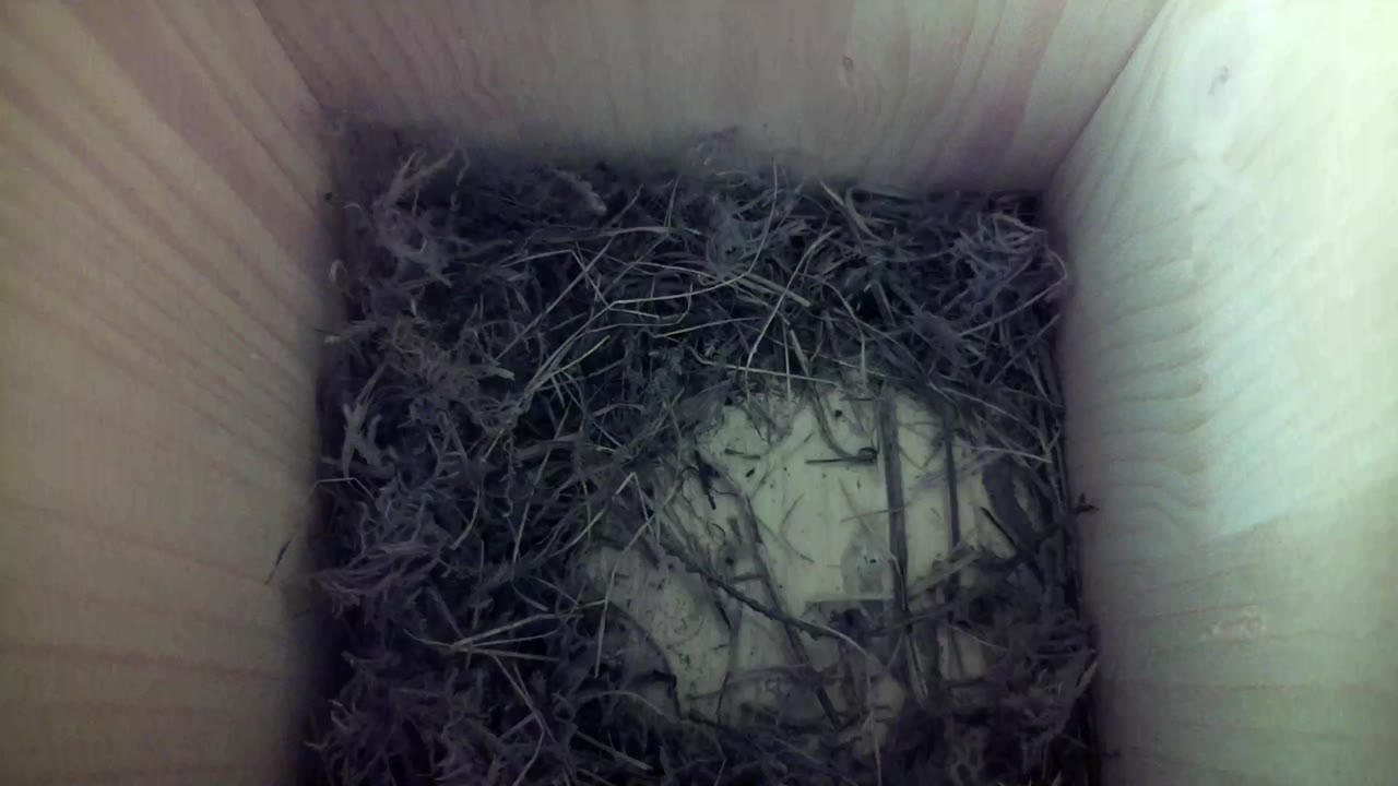 Aufnahme aus dem Vogelhaus