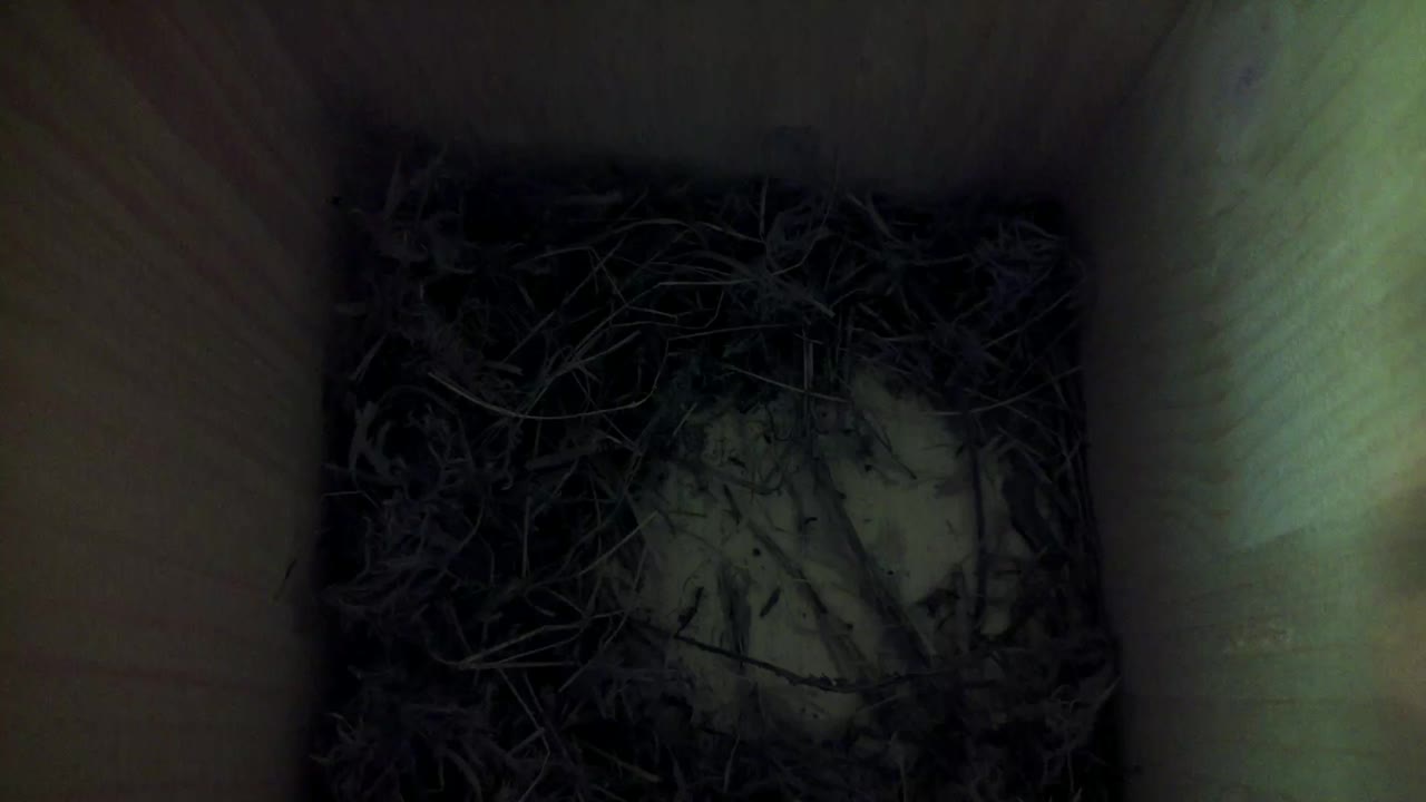 Aufnahme aus dem Vogelhaus