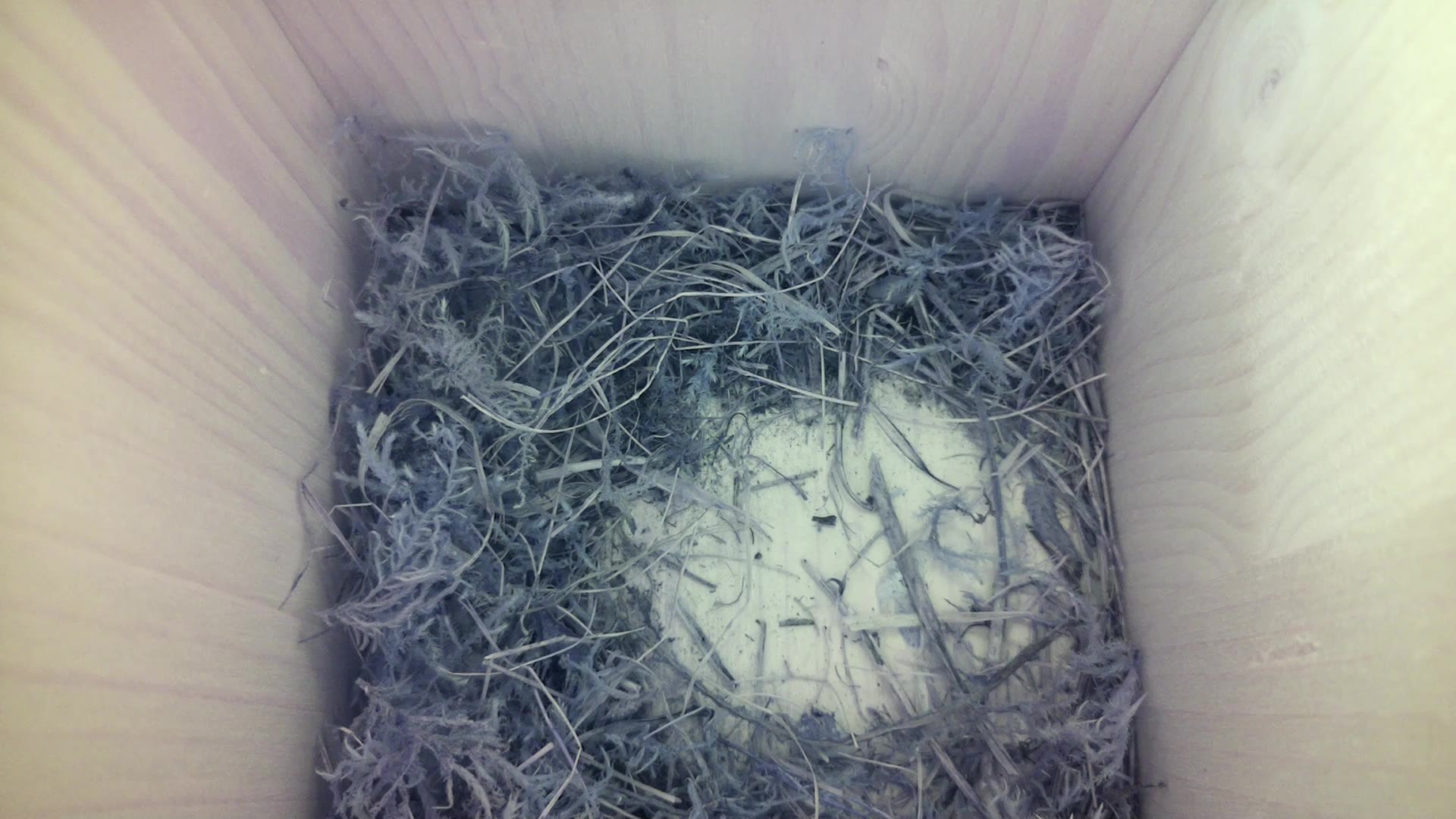Aufnahme aus dem Vogelhaus