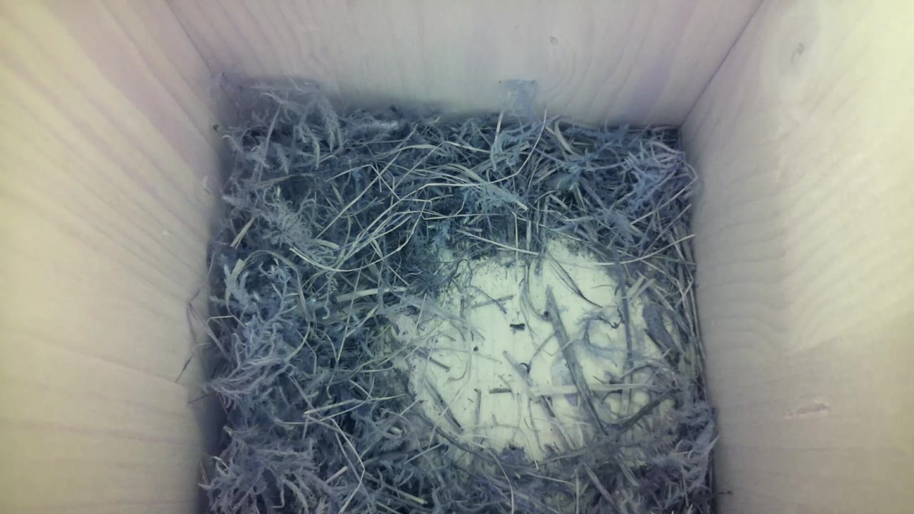 Aufnahme aus dem Vogelhaus