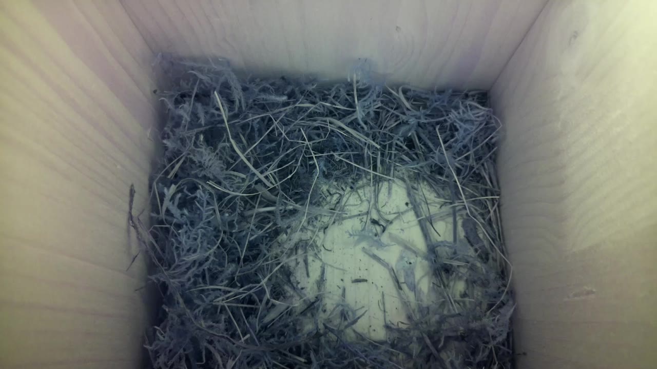 Aufnahme aus dem Vogelhaus