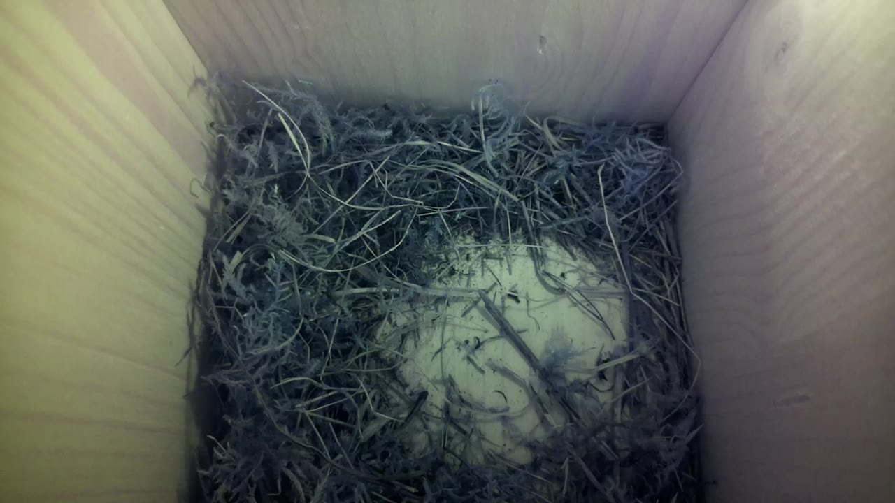 Aufnahme aus dem Vogelhaus