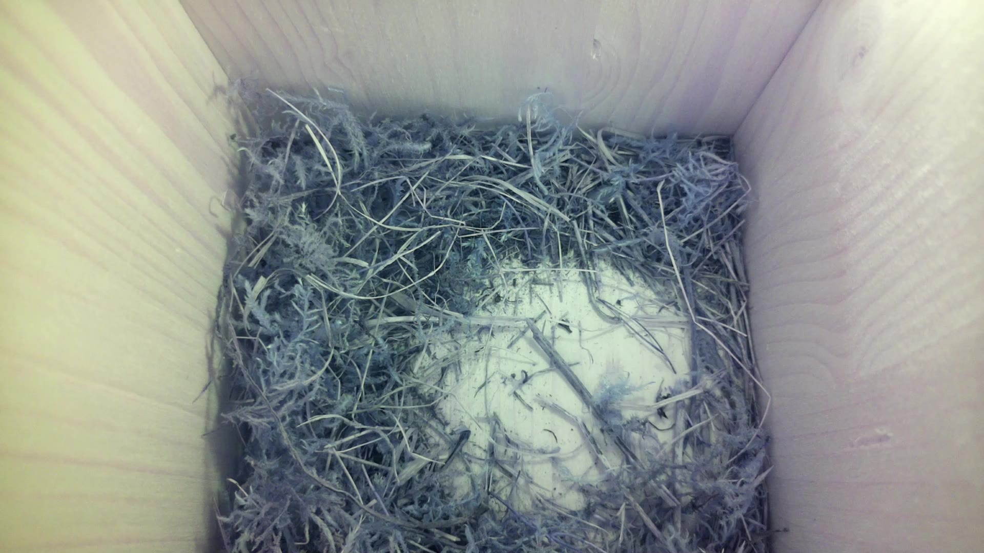 Aufnahme aus dem Vogelhaus