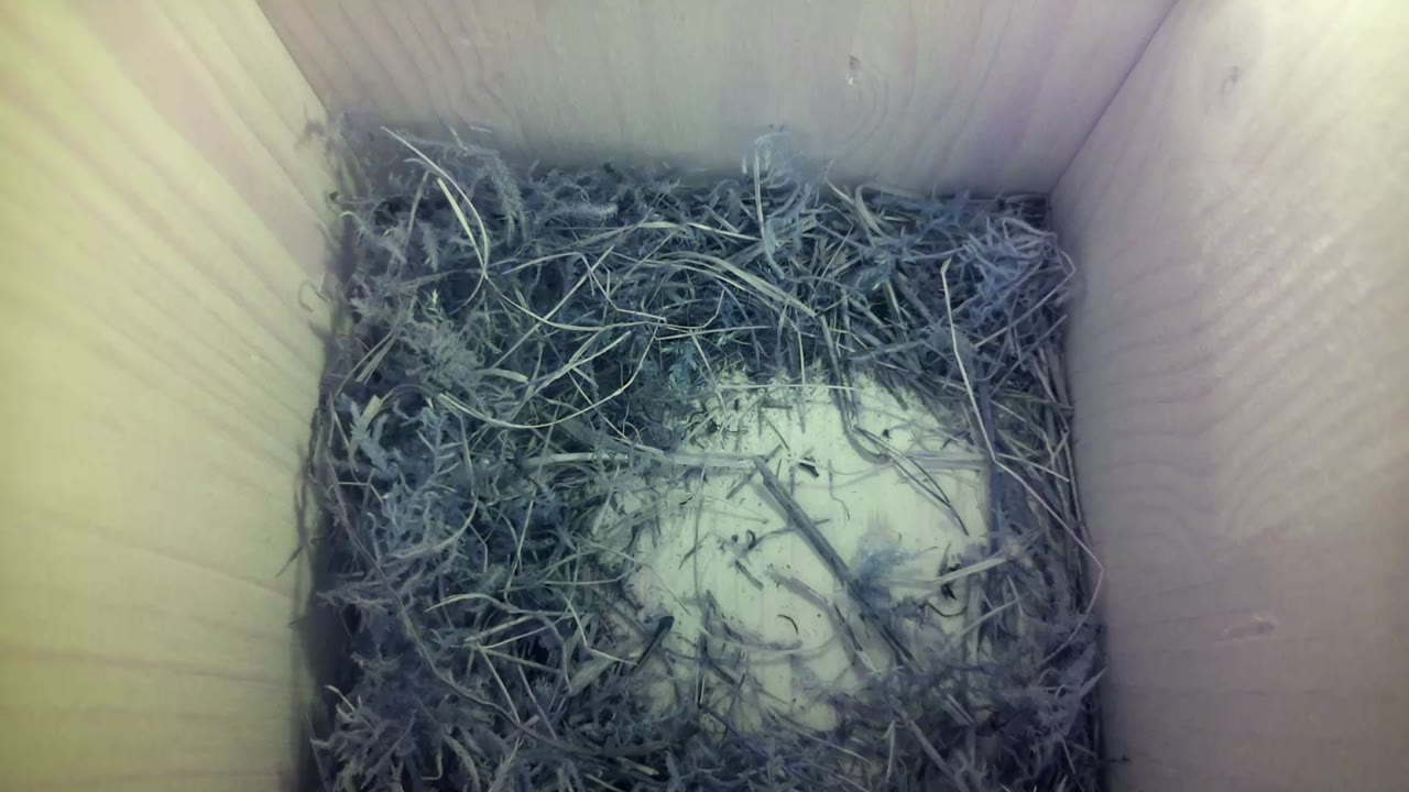 Aufnahme aus dem Vogelhaus