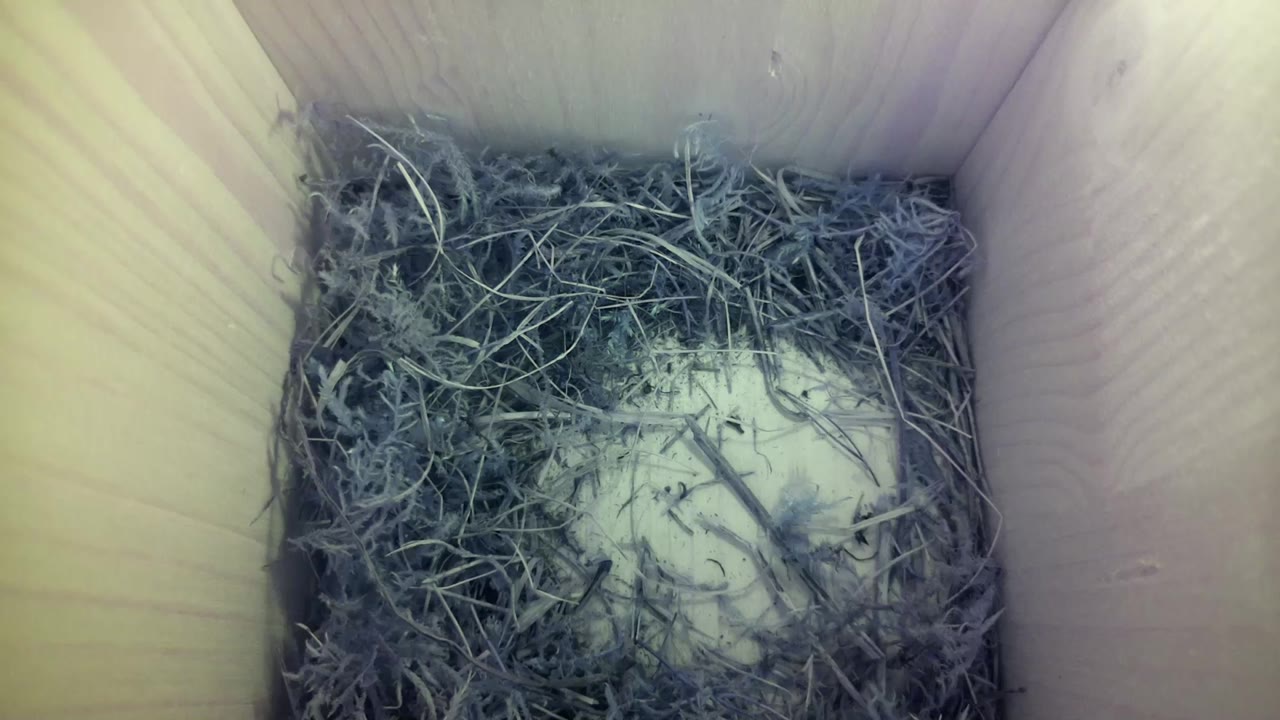Aufnahme aus dem Vogelhaus