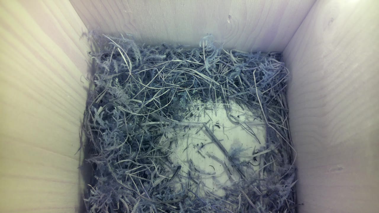 Aufnahme aus dem Vogelhaus