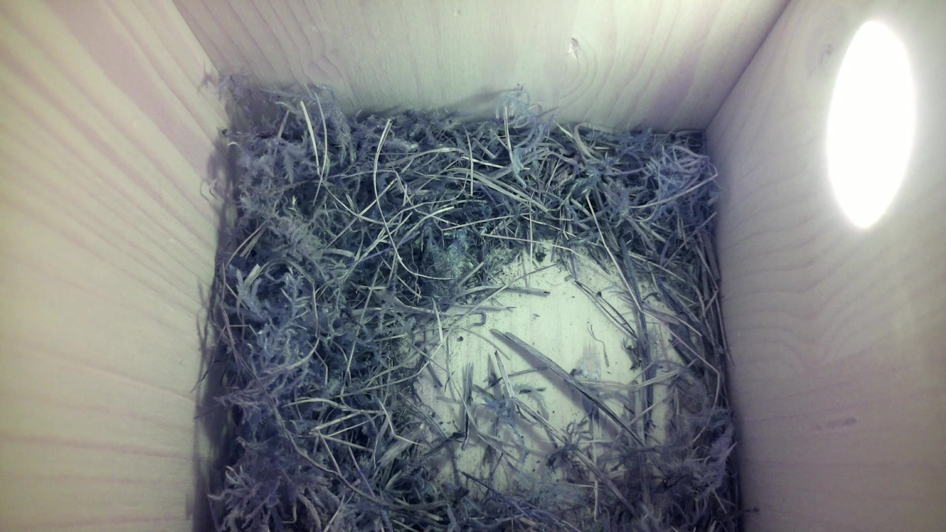 Aufnahme aus dem Vogelhaus