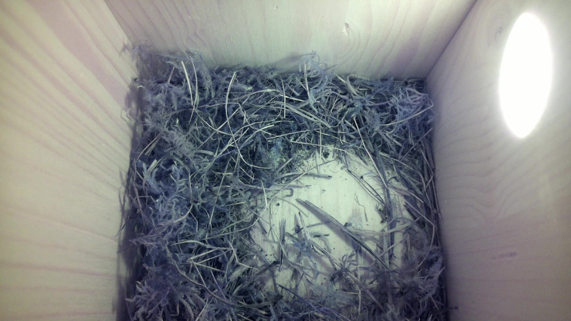 Aufnahme aus dem Vogelhaus