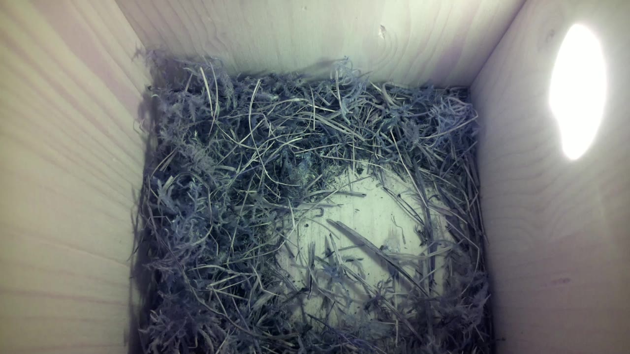 Aufnahme aus dem Vogelhaus
