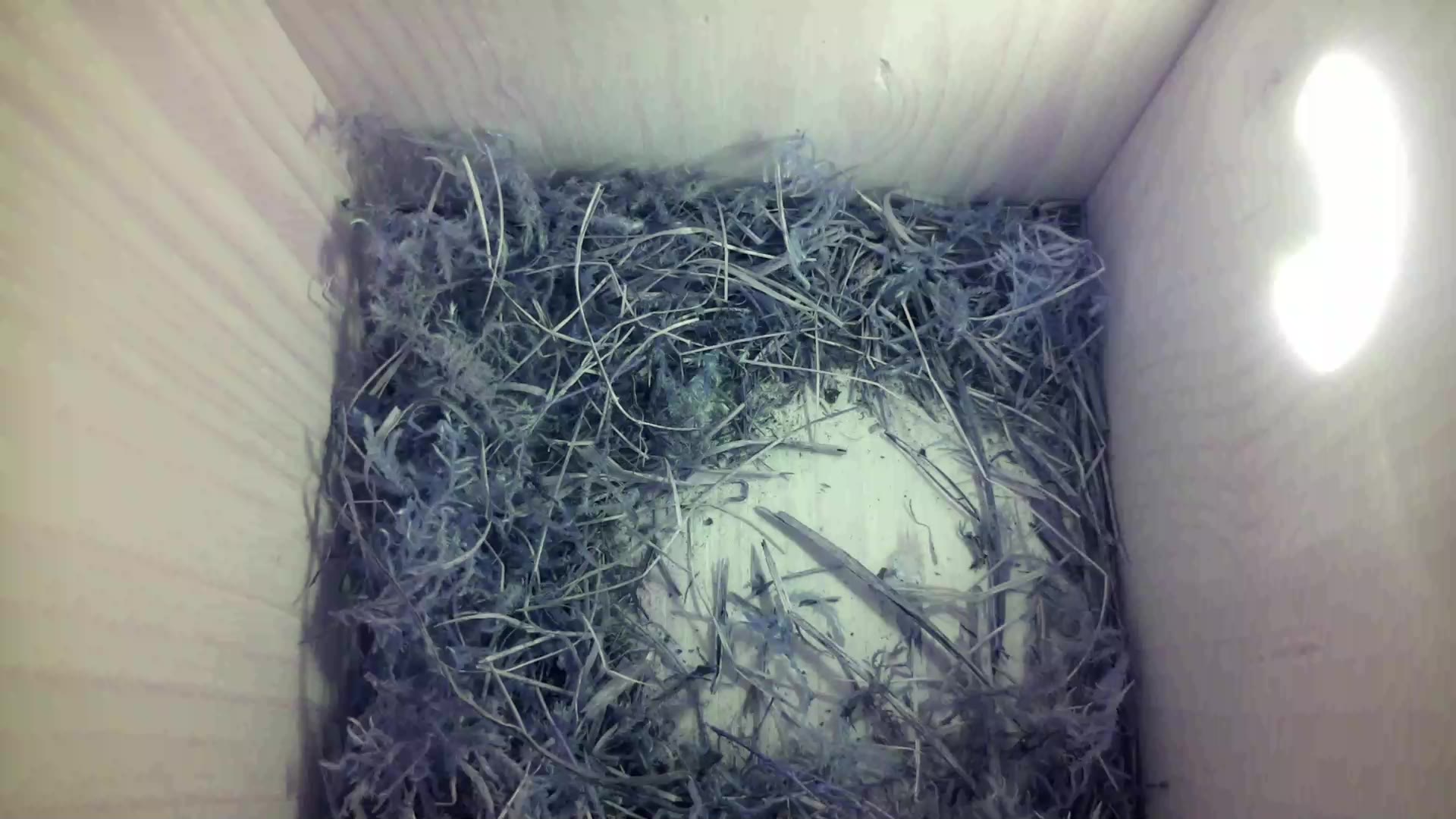 Aufnahme aus dem Vogelhaus