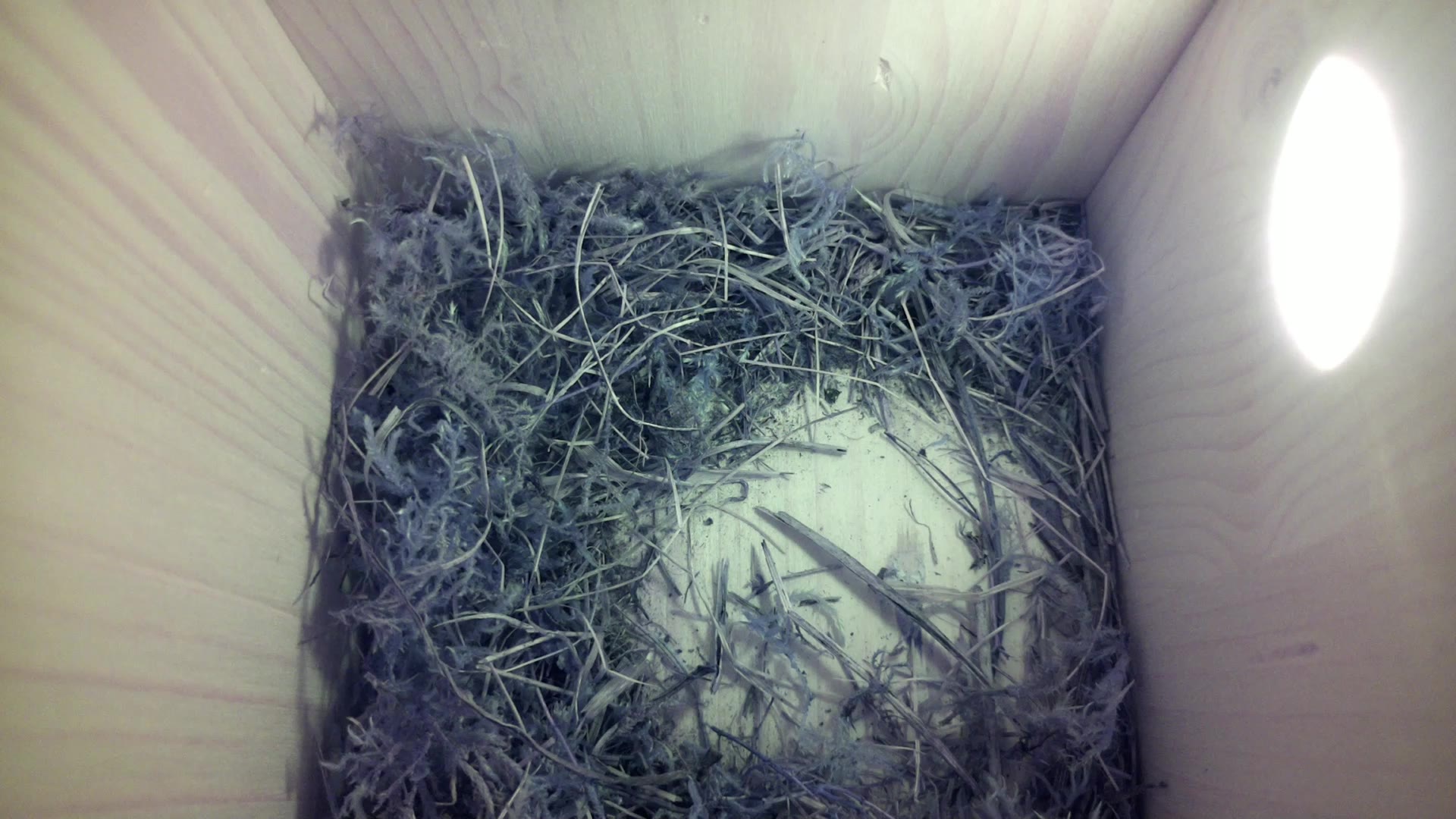 Aufnahme aus dem Vogelhaus