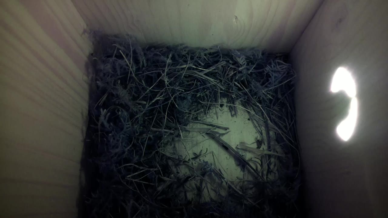 Aufnahme aus dem Vogelhaus