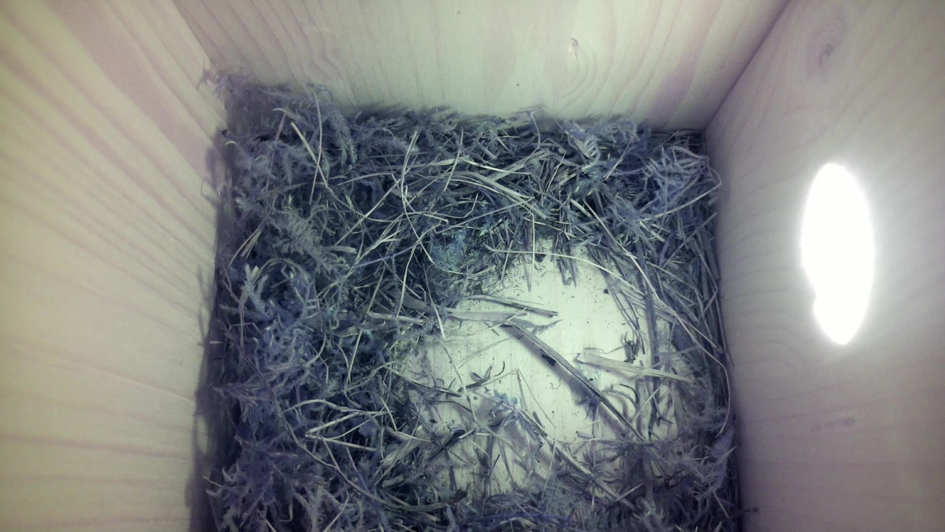 Aufnahme aus dem Vogelhaus