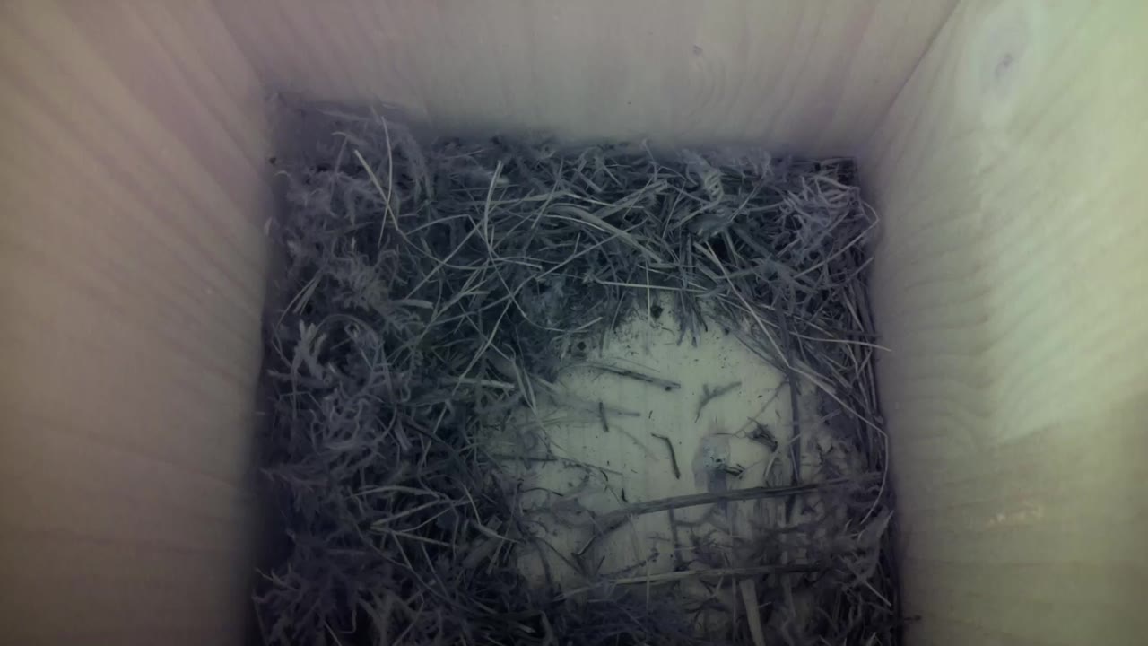 Aufnahme aus dem Vogelhaus