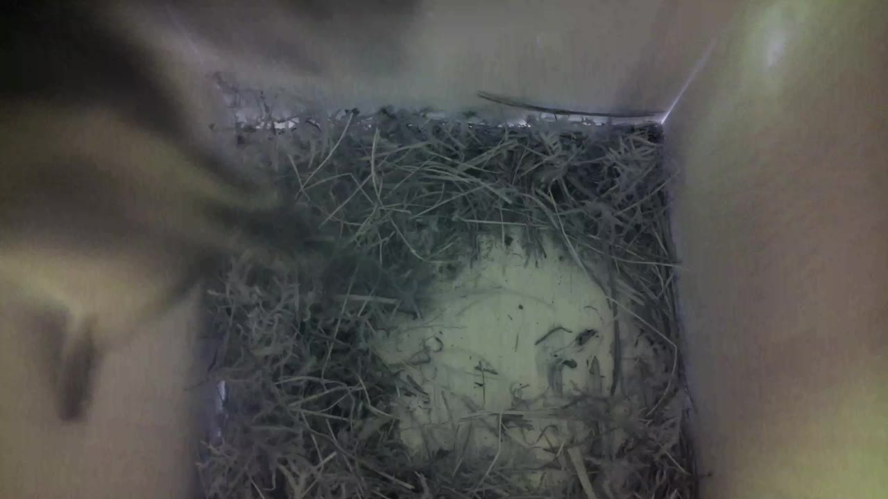 Aufnahme aus dem Vogelhaus