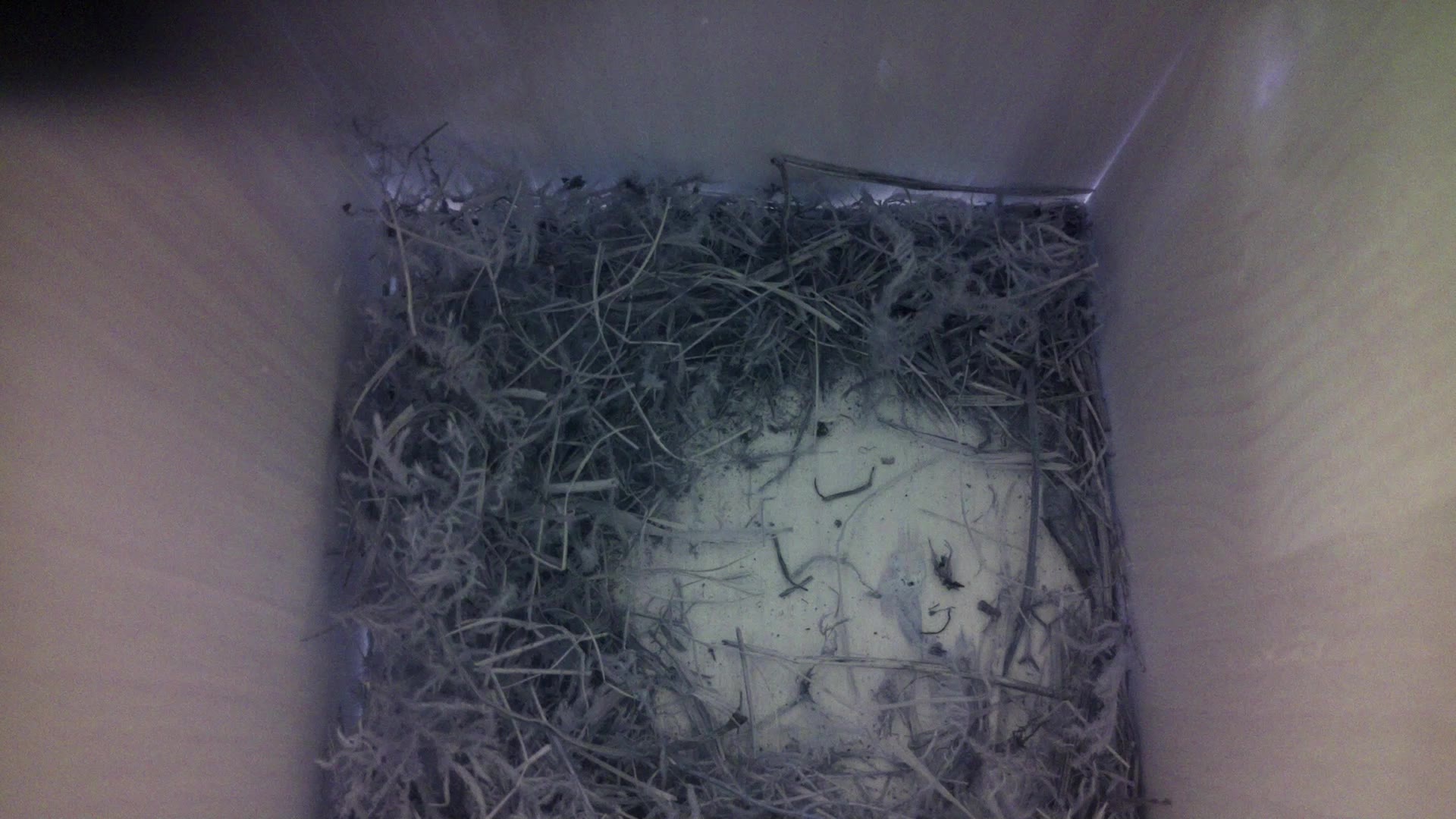 Aufnahme aus dem Vogelhaus