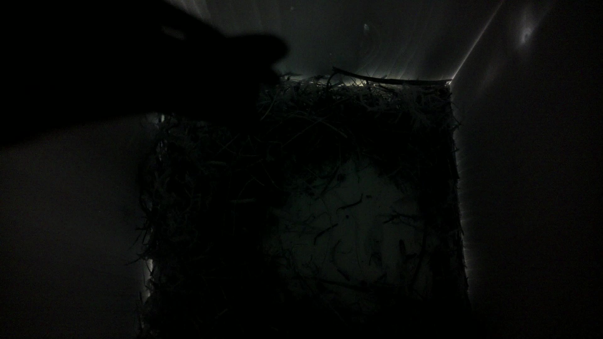 Aufnahme aus dem Vogelhaus