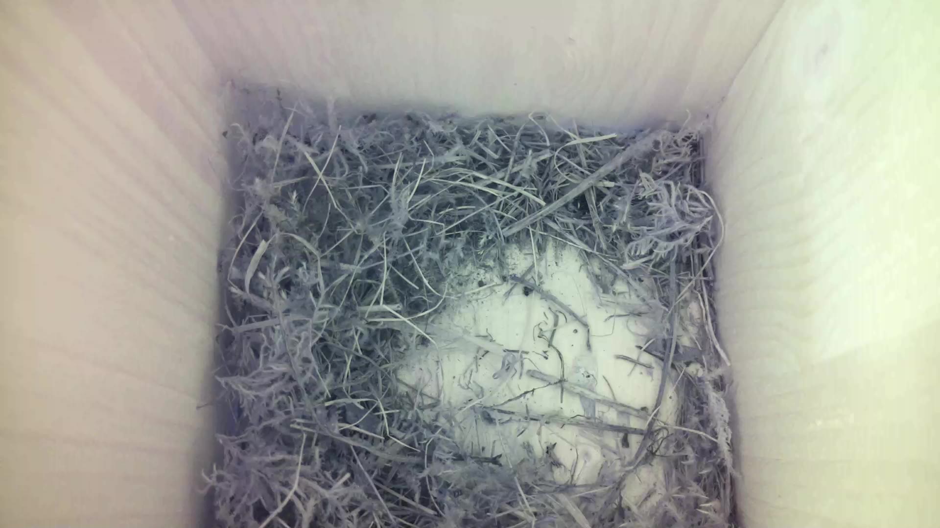 Aufnahme aus dem Vogelhaus