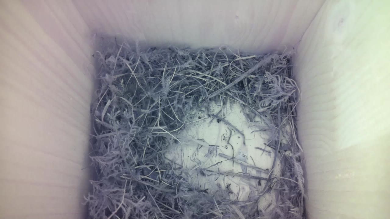 Aufnahme aus dem Vogelhaus