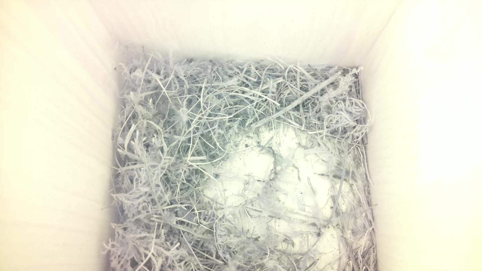 Aufnahme aus dem Vogelhaus