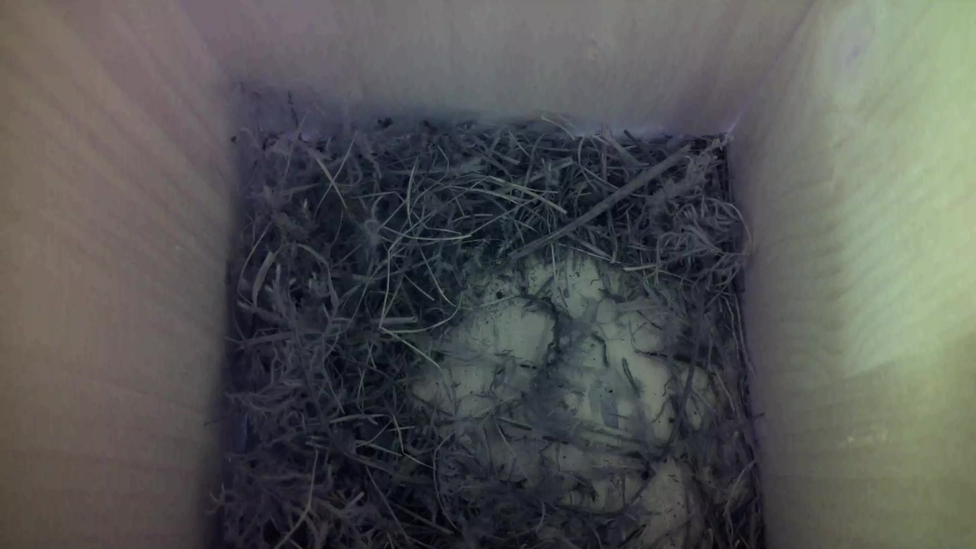 Aufnahme aus dem Vogelhaus