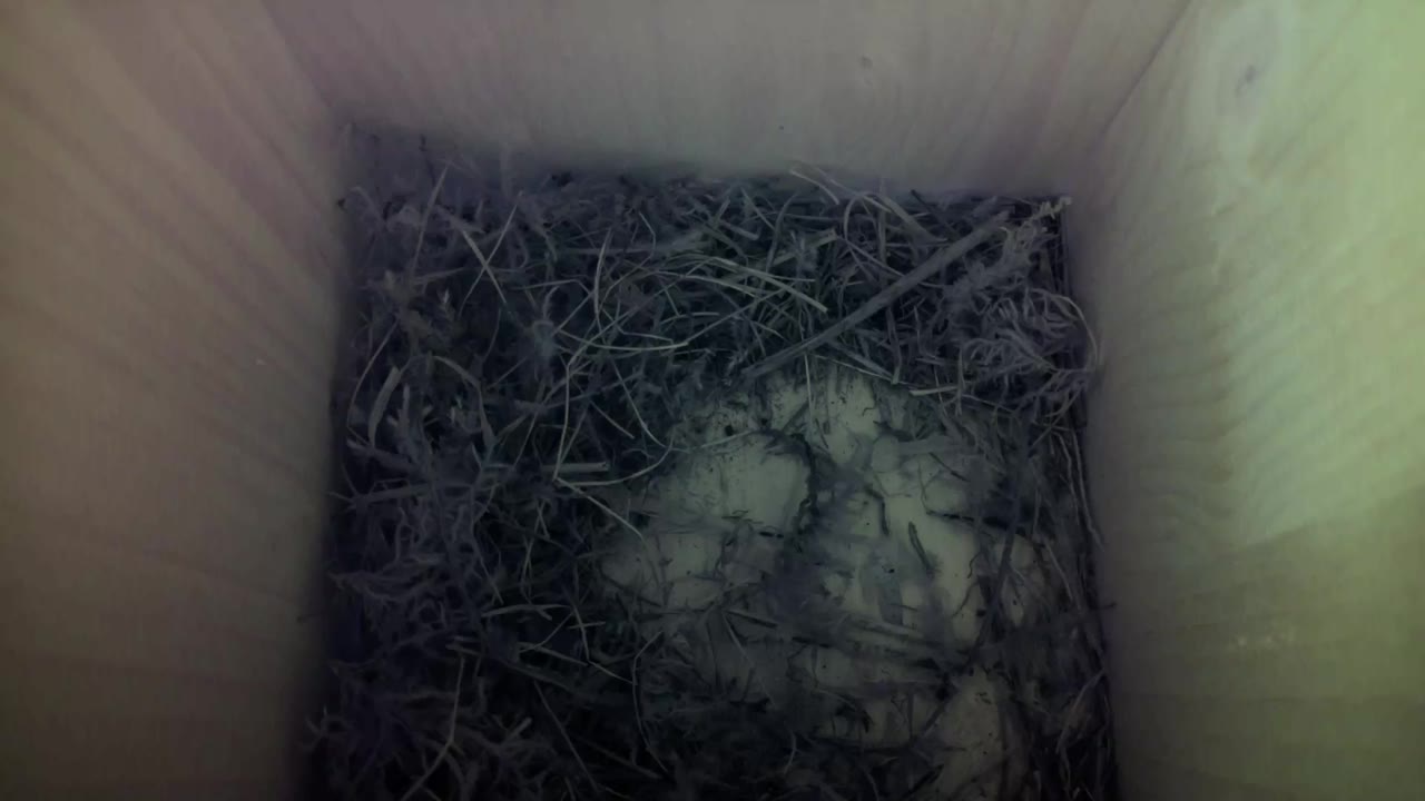 Aufnahme aus dem Vogelhaus