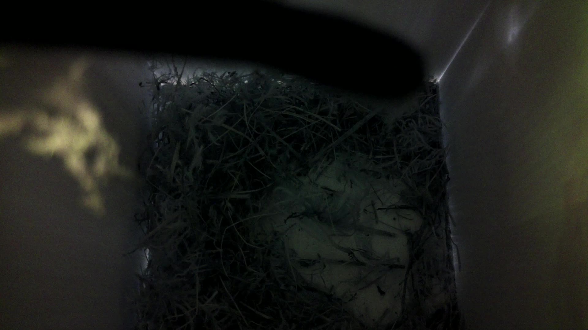 Aufnahme aus dem Vogelhaus