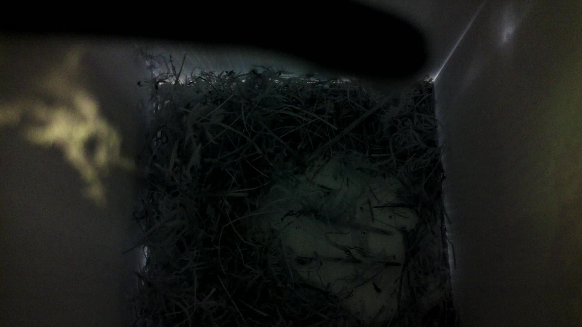 Aufnahme aus dem Vogelhaus
