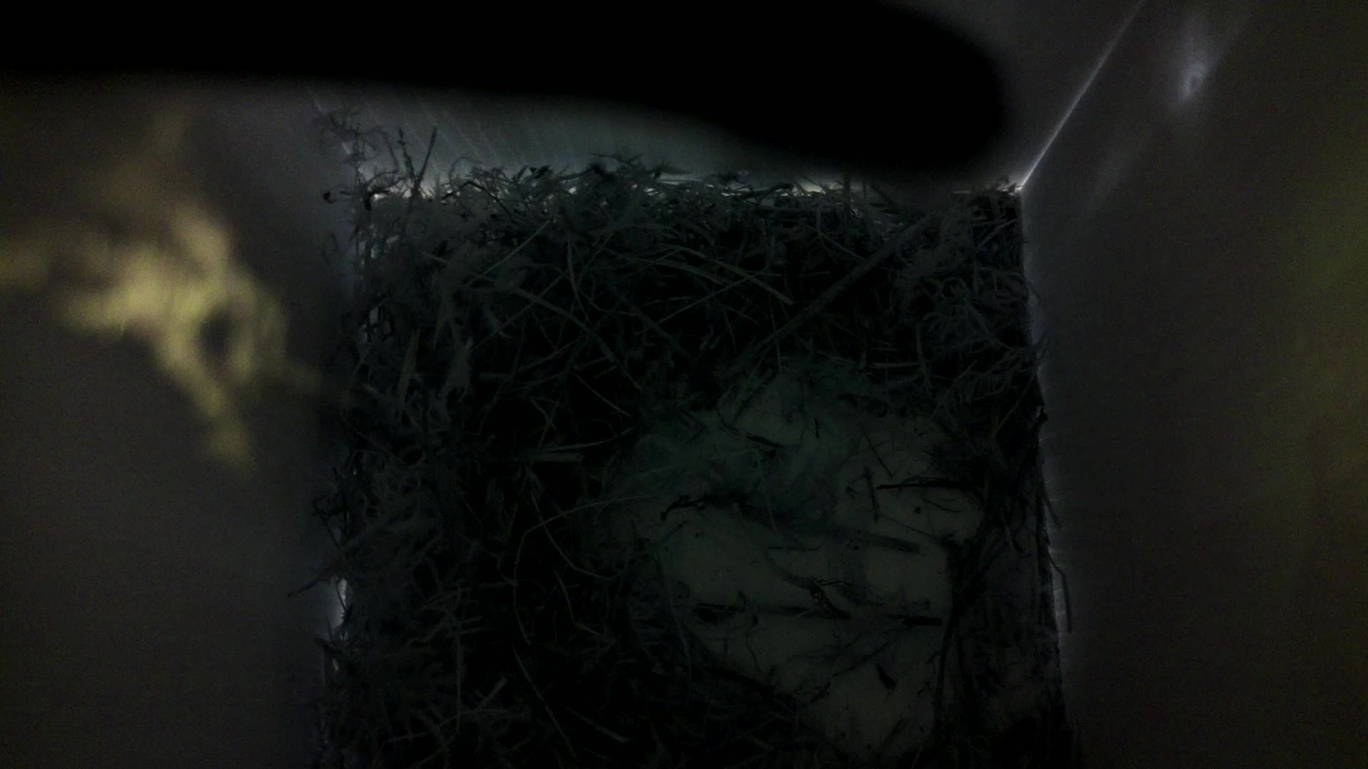 Aufnahme aus dem Vogelhaus