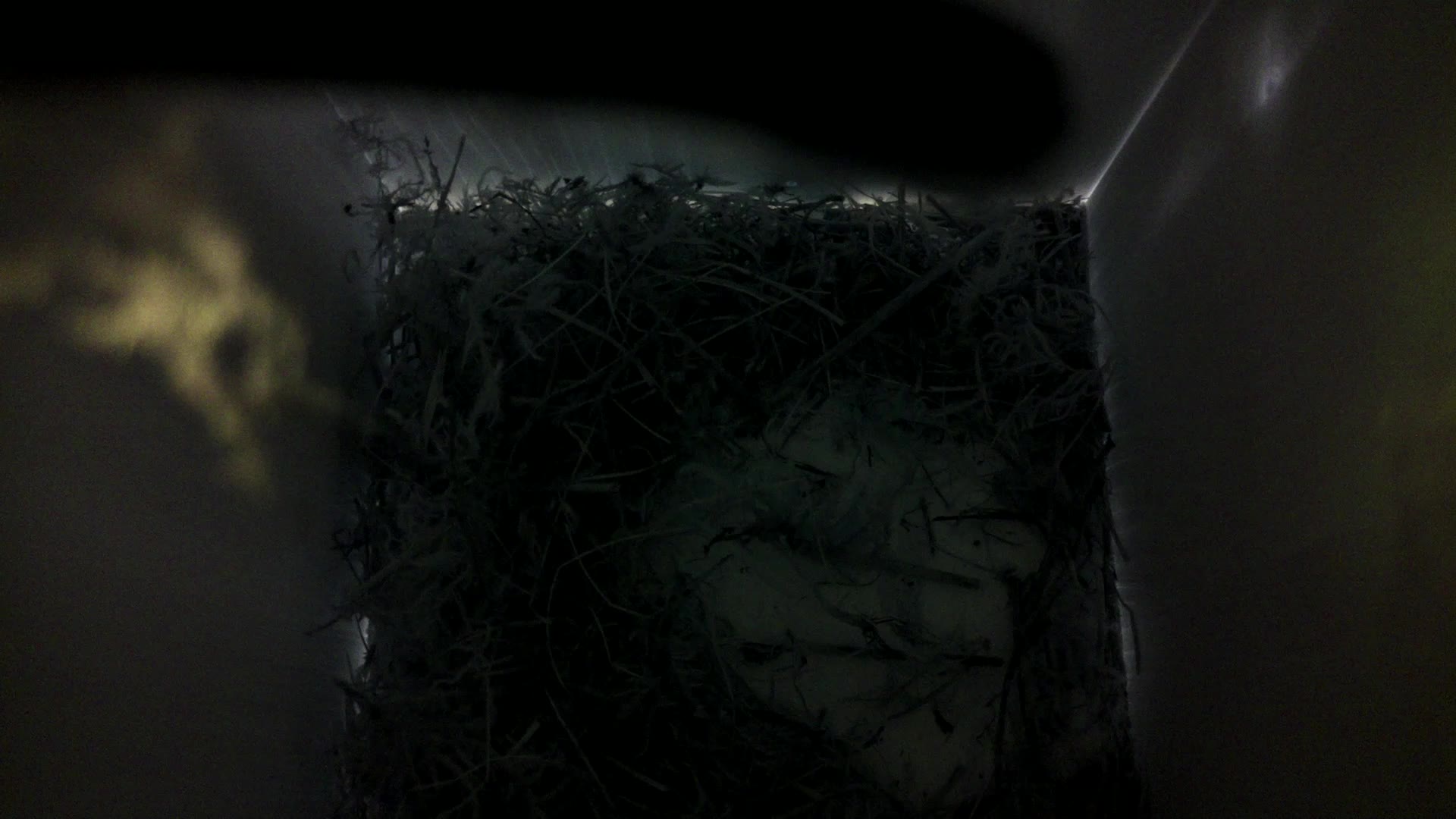 Aufnahme aus dem Vogelhaus