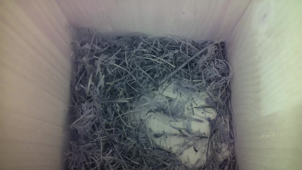 Aufnahme aus dem Vogelhaus