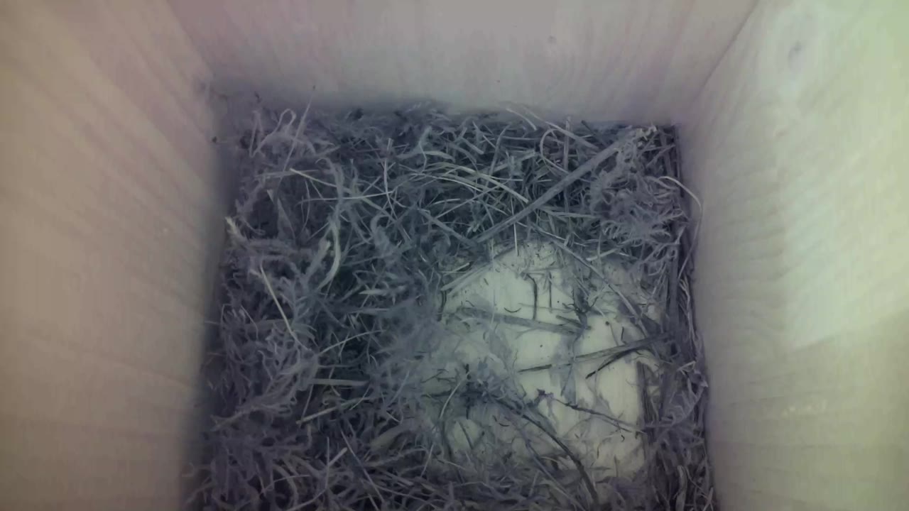 Aufnahme aus dem Vogelhaus
