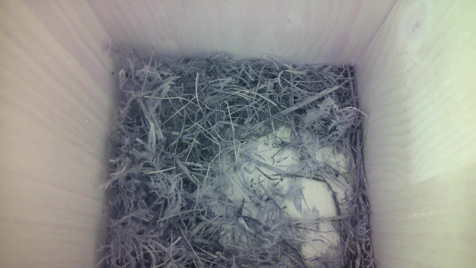 Aufnahme aus dem Vogelhaus